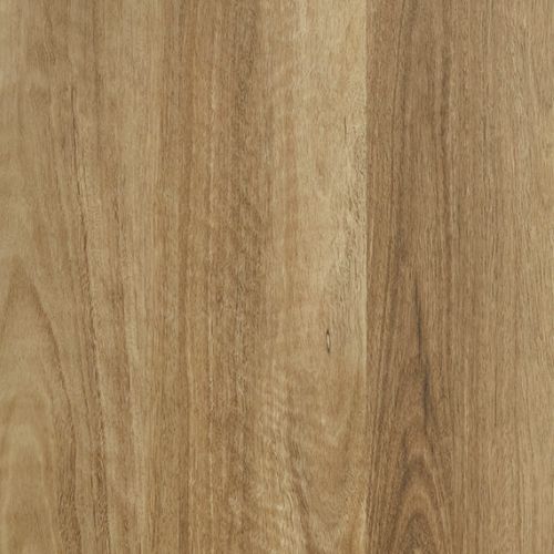 Panorama 16 Yarraspottedgum